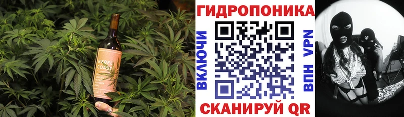 блэк спрут tor  продажа наркотиков  Удомля  Cannafood марихуана 