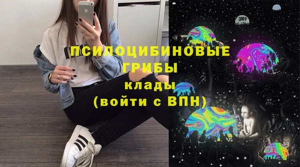 тгк Арсеньев