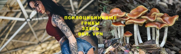 стаф Армянск
